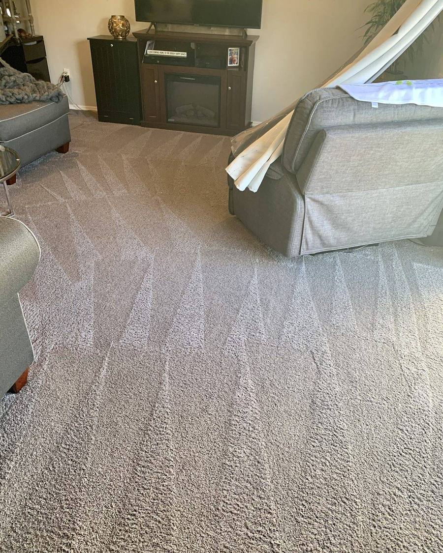 Living room carpet with fresh cleaning lines after steam cleaning