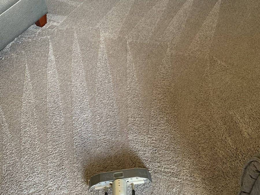 Steam cleaning wand on wall-to-wall carpet