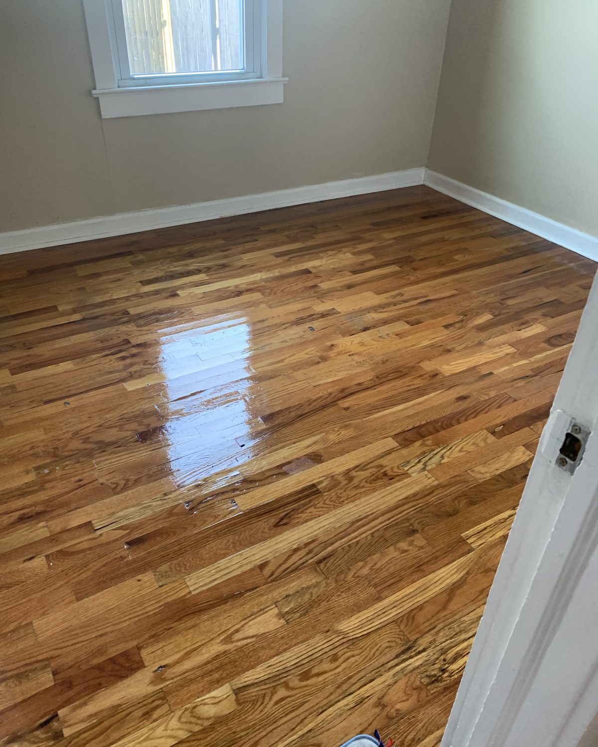 Hardwood floor with a fresh, glossy finish after cleaning and re-coating